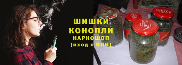 амф Ладушкин