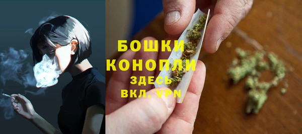 амф Ладушкин