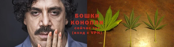 гашик Лабытнанги