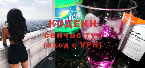 амф Ладушкин