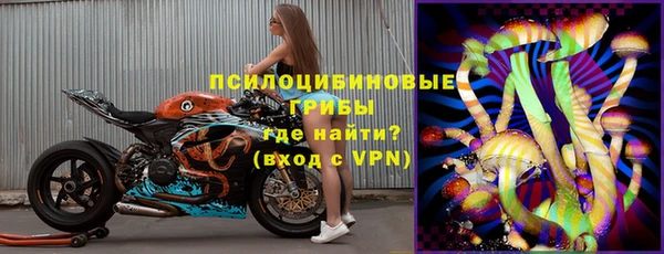 гашик Лабытнанги