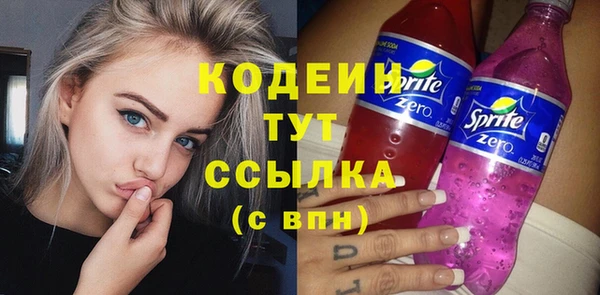 амф Ладушкин