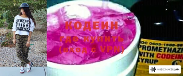 амф Ладушкин