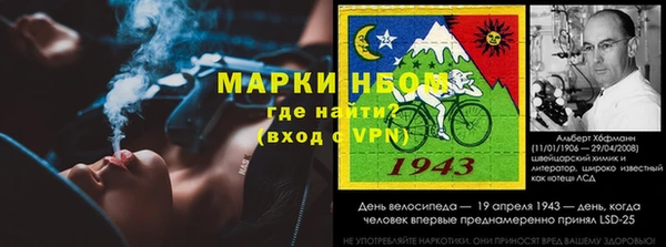 амф Ладушкин