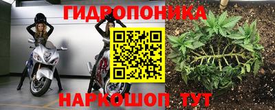 стафф Волгодонск