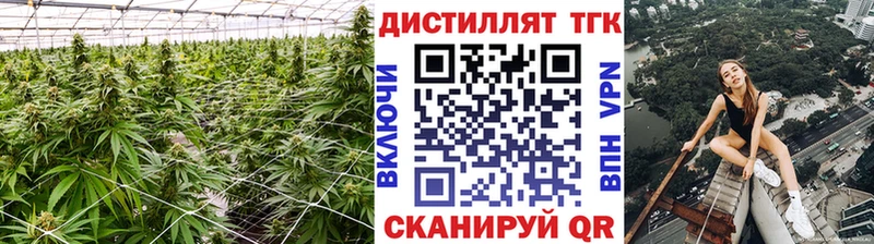 хочу наркоту  MEGA как войти  Дистиллят ТГК вейп  Комсомольск-на-Амуре 
